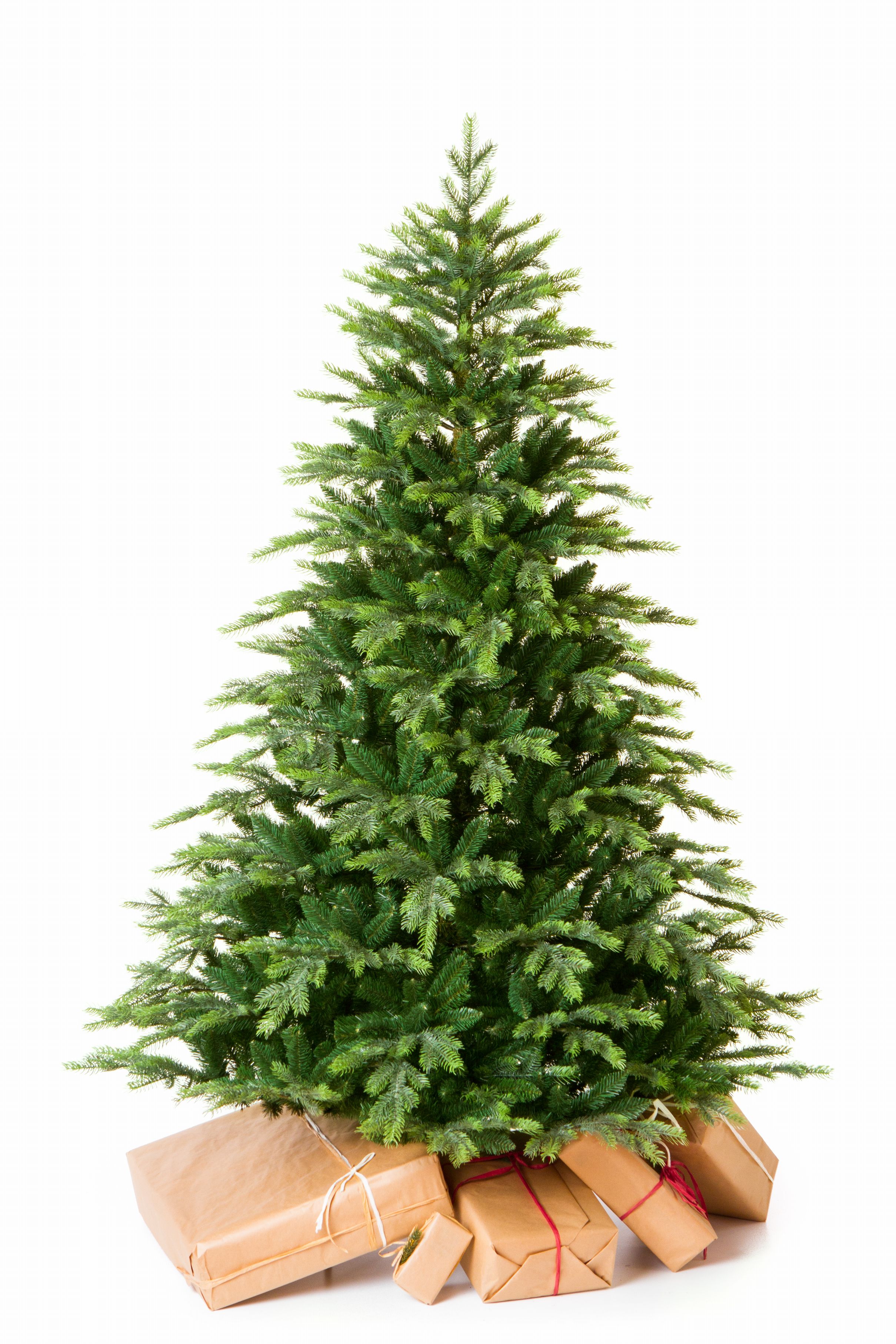 Smrek Tatranský 3D Vianočný stromček 220 cm