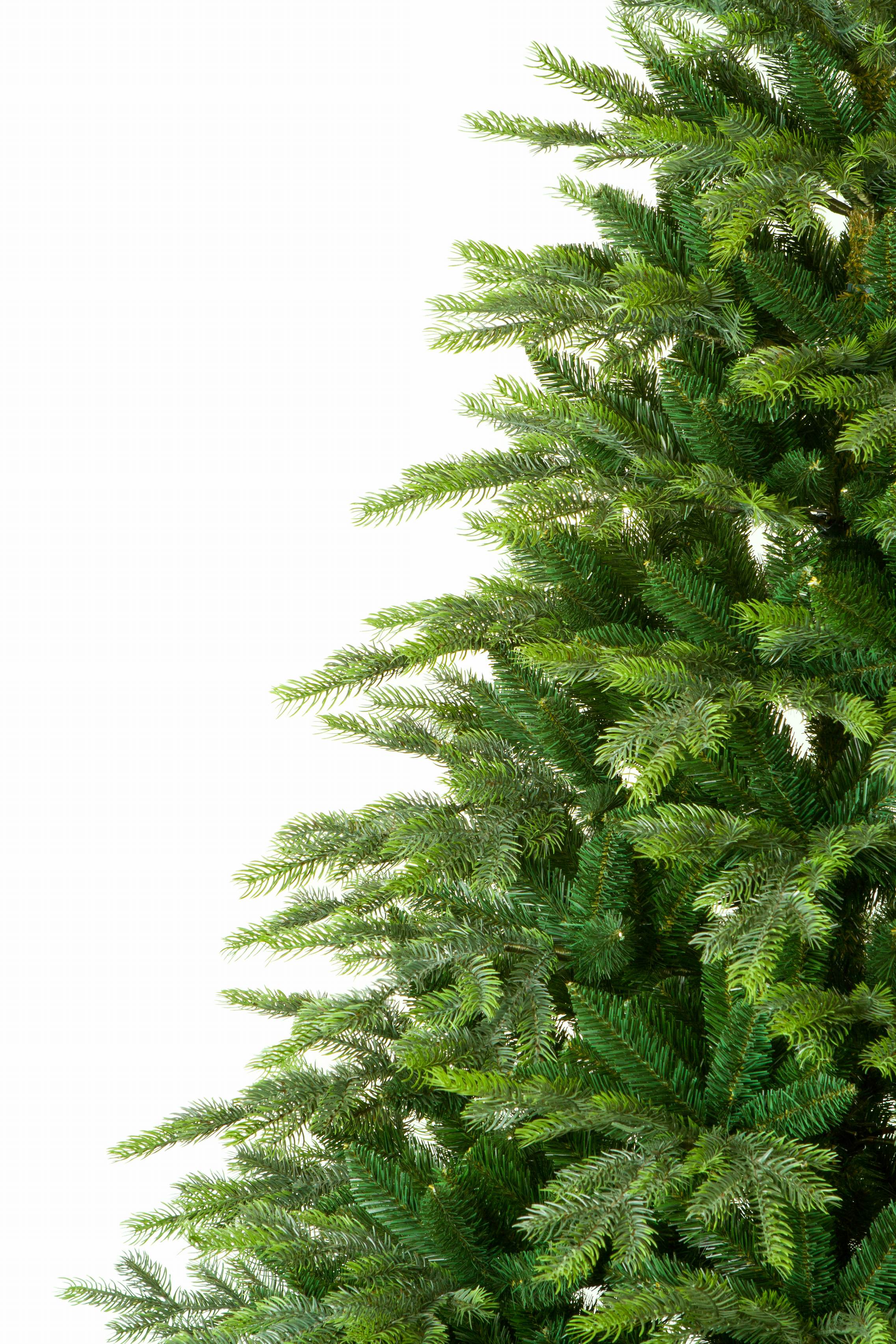 Smrek Tatranský 3D Vianočný stromček 220 cm