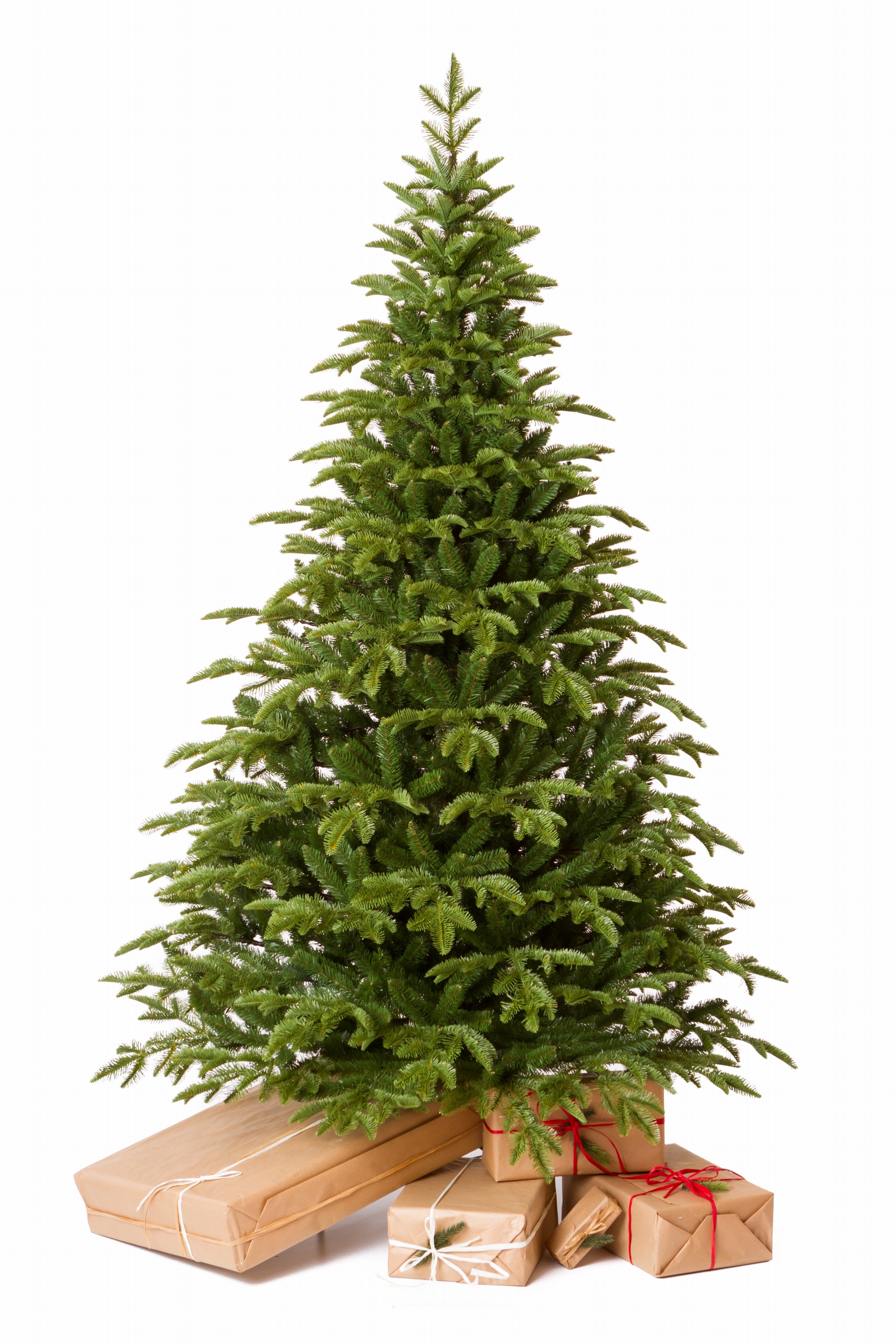Jedlička Krkonošská 3D Vianočný stromček 220 cm