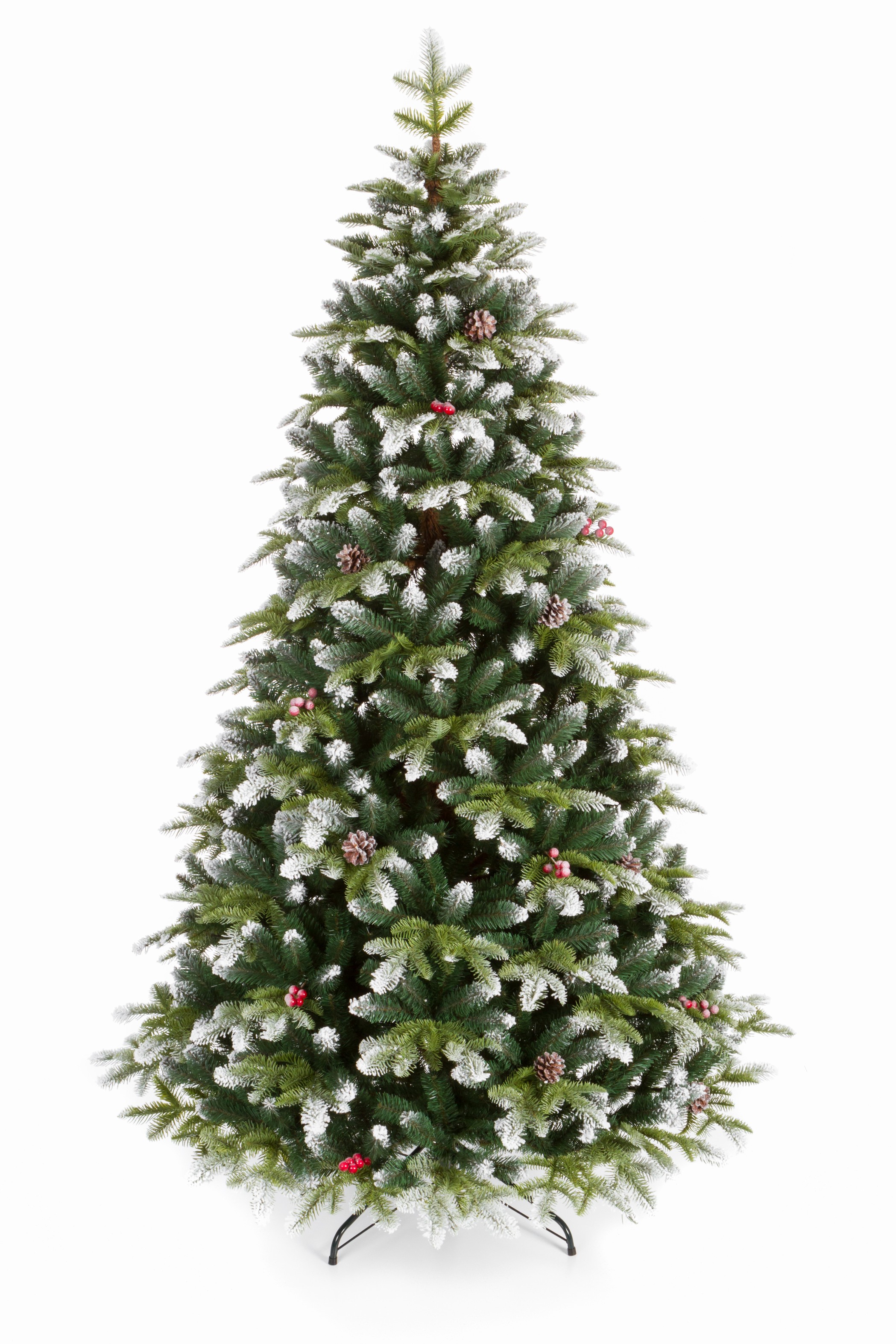 Jedľa horská zamrznutá Vianočný stromček 240 cm