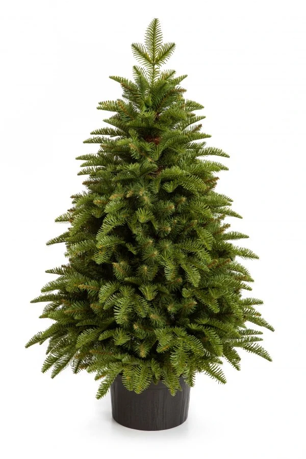 Jedlička Krkonoš 3D 100 cm – zelený Vianočný stromček