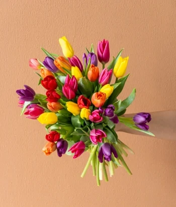 Kytica Tulipánov