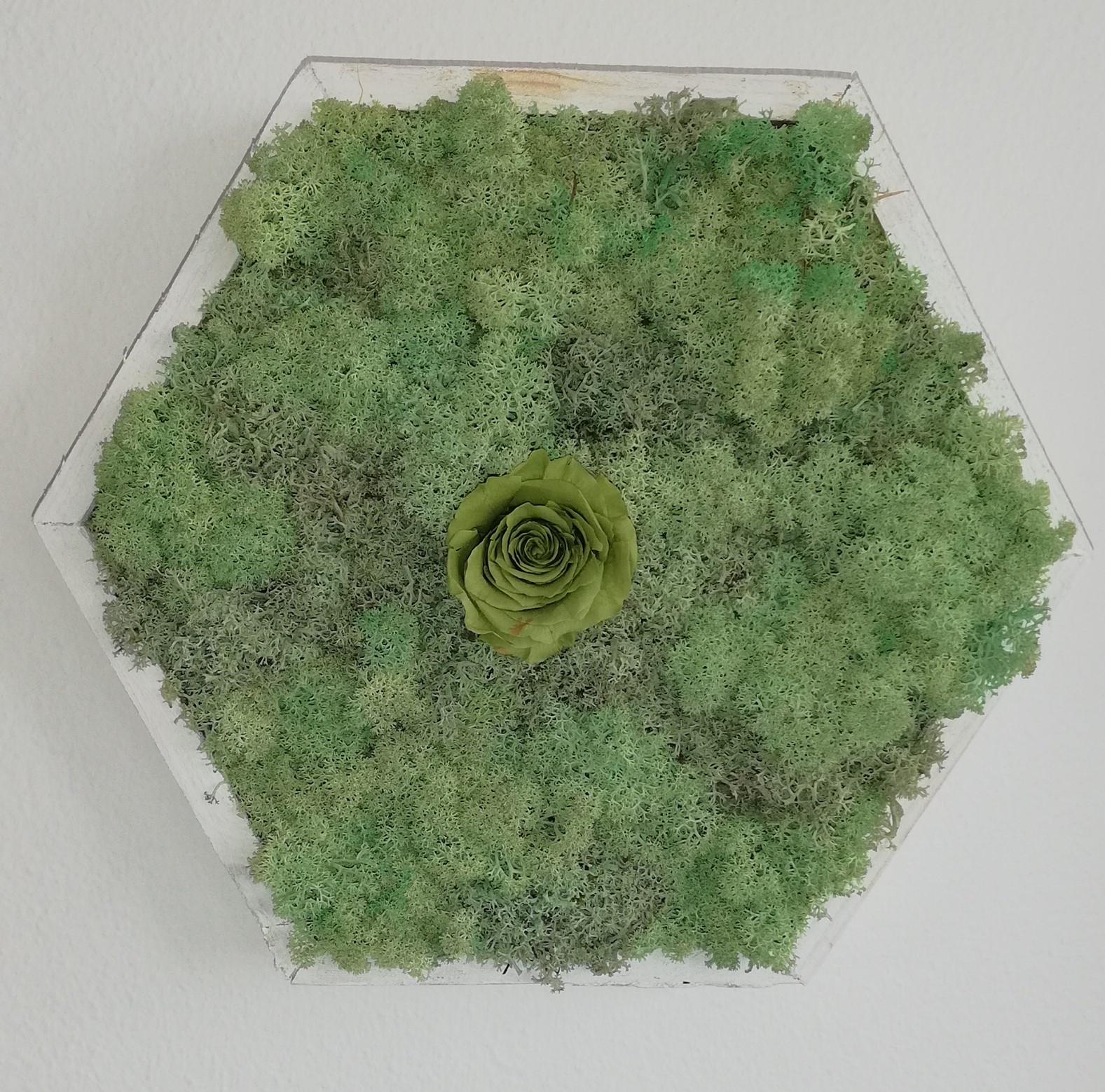 Machový obraz Hexagon