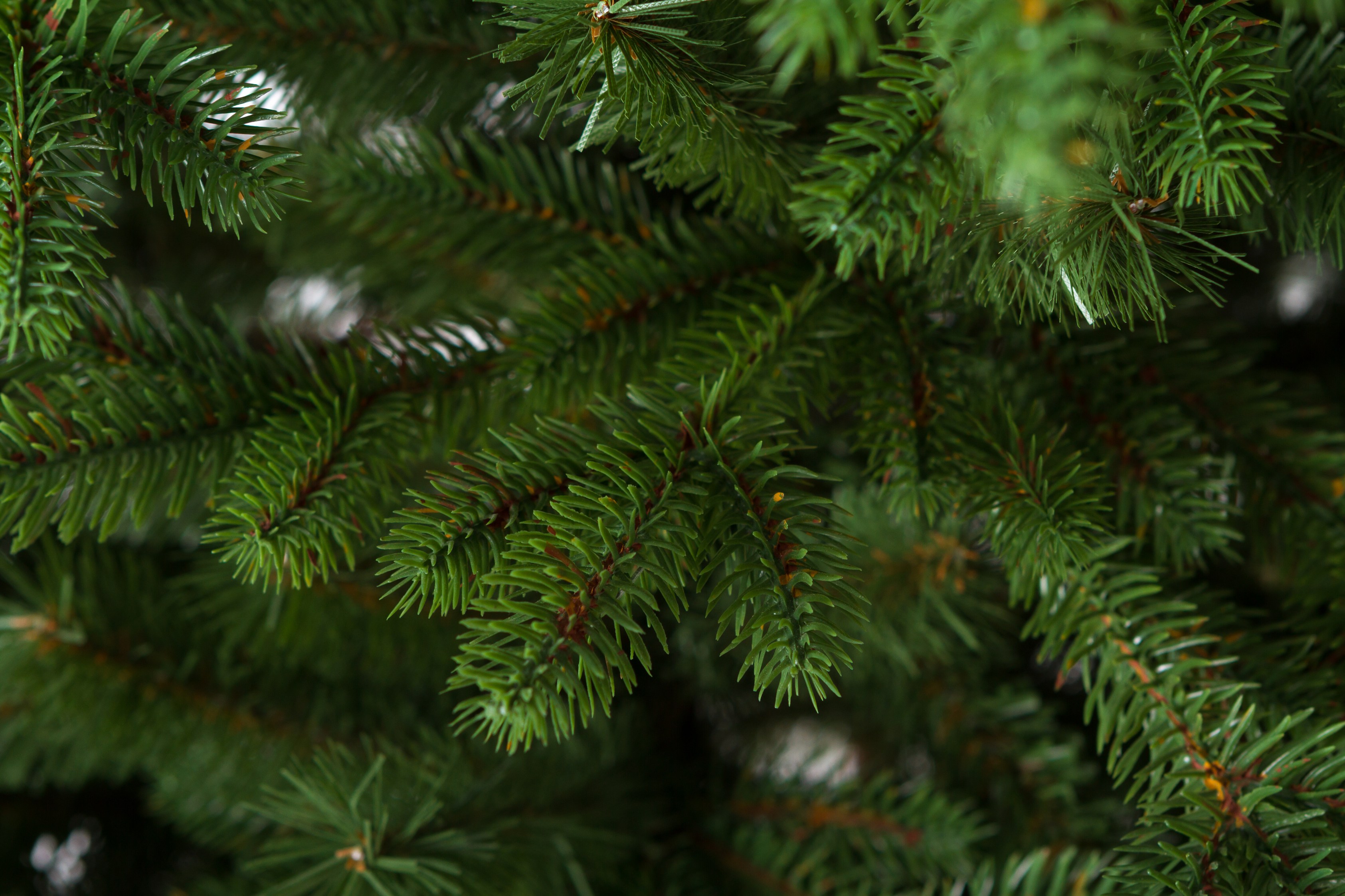 Smrek Vihorlat 3D 100% XL 220 cm – umelý vianočný stromček
